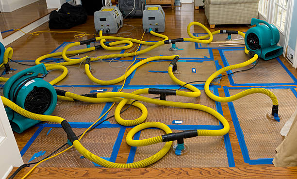 Professional Basement Flood Cleanup technician working in Fayette, OH
